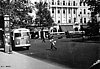 V�r�smarty t�r 1950